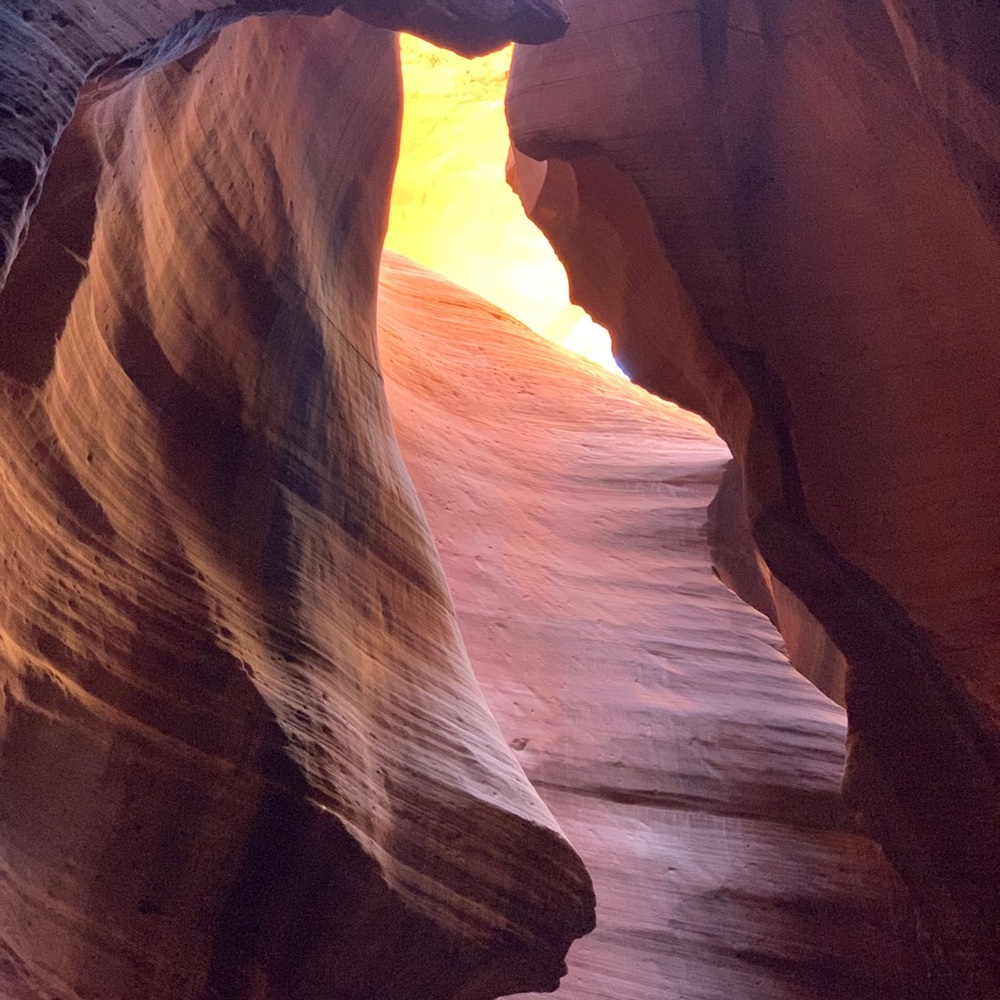 Meet your Posher, Dee